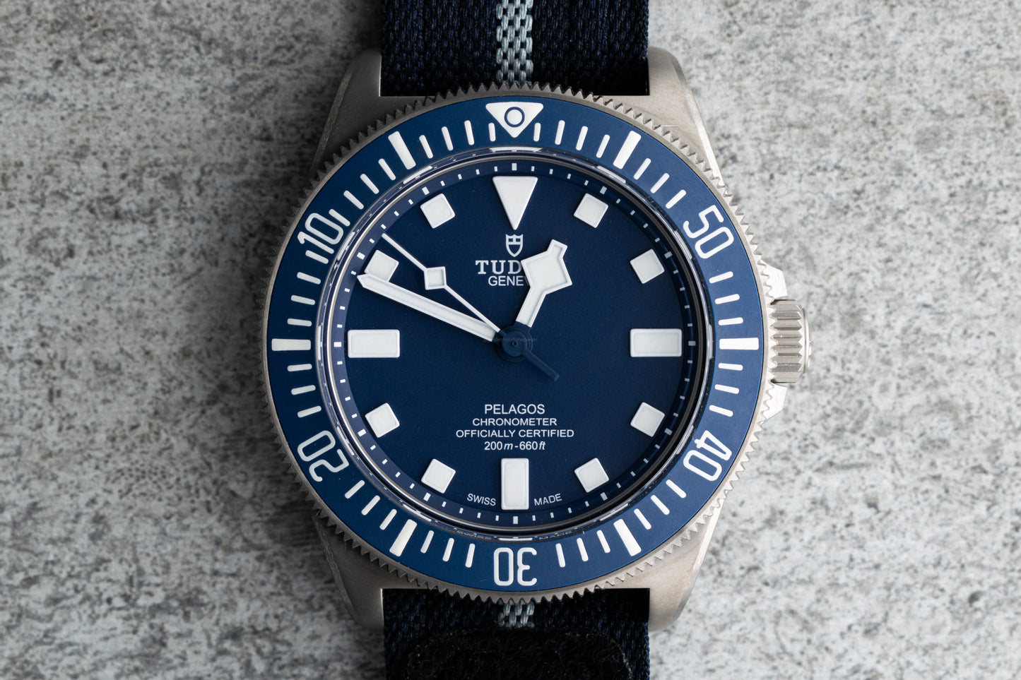 Tudor Pelagos FXD MN22